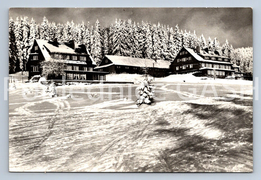 Pohlednice KRKONOŠE -DAVIDOVA BOUDA (ST11080)