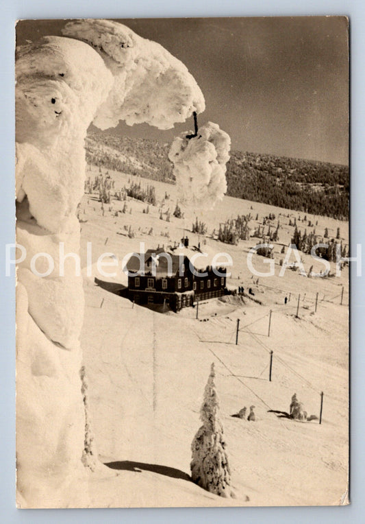 Pohlednice KRKONOŠE - MARTINOVA BOUDA (ST11103)