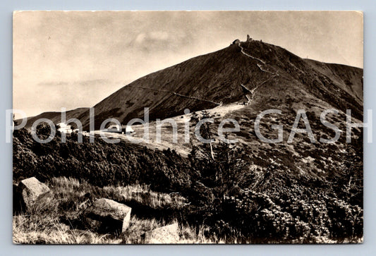 Pohlednice KRKONOŠE - SNĚŽKA (ST11126)