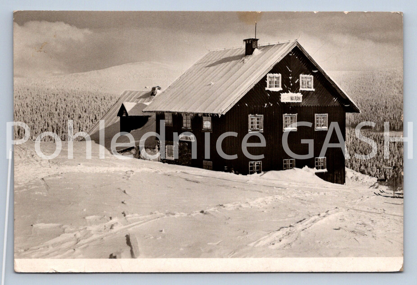 Pohlednice KRKONOŠE - CHATA NA PLÁNI (ST11131)