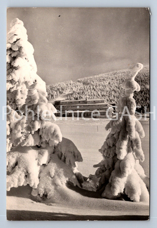 Pohlednice KRKONOŠE - ŠPINDLEROVA BOUDA (ST11151)