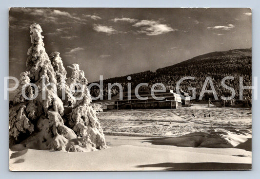 Pohlednice KRKONOŠE - ŠPINDLEROVA BOUDA (ST11154)