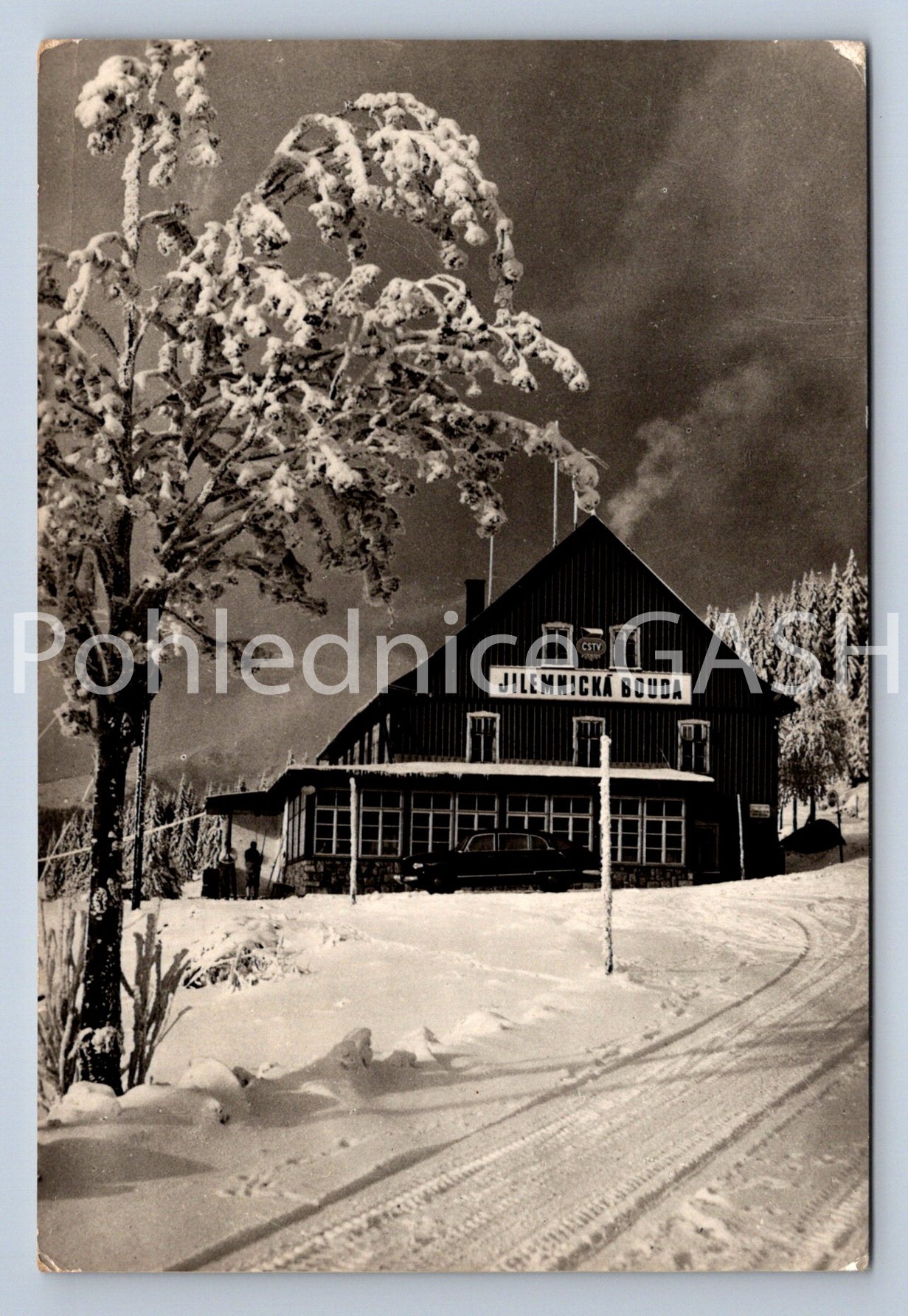 Pohlednice KRKONOŠE - JILEMNICKÁ BOUDA (ST11197)