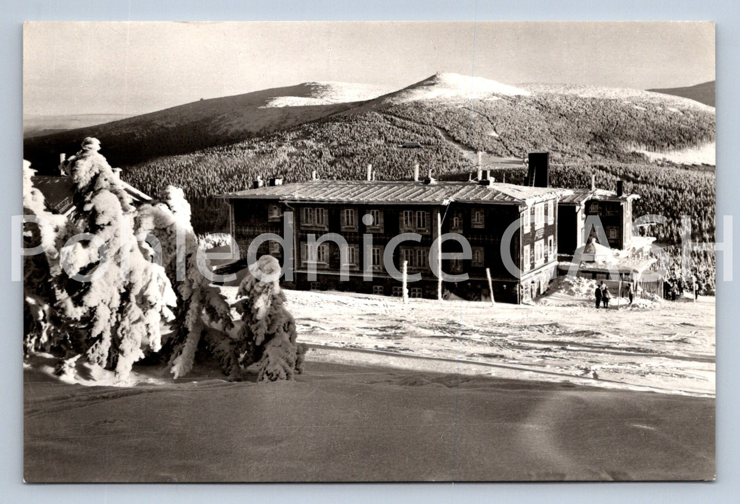 Pohlednice KRKONOŠE - PETROVA BOUDA (ST11209)