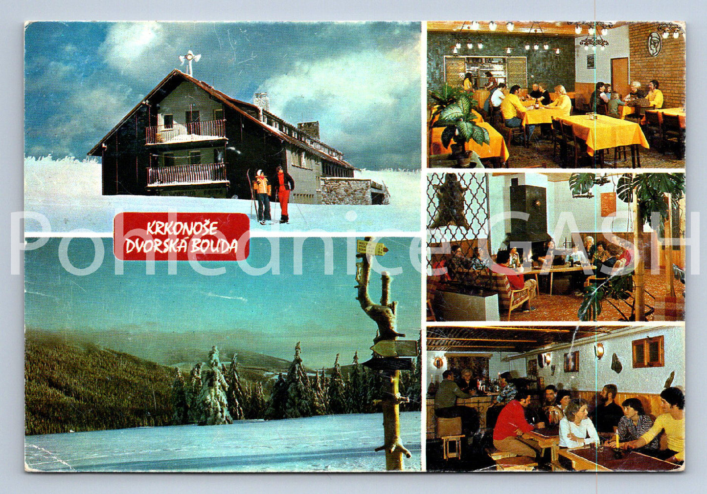 Pohlednice KRKONOŠE - DVORSKÁ BOUDA (ST11255)