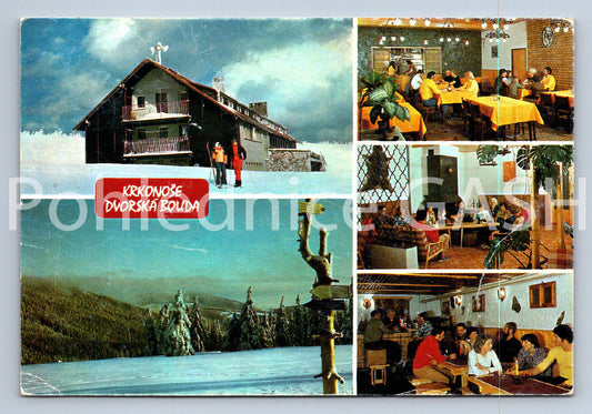 Pohlednice KRKONOŠE - DVORSKÁ BOUDA (ST11255)