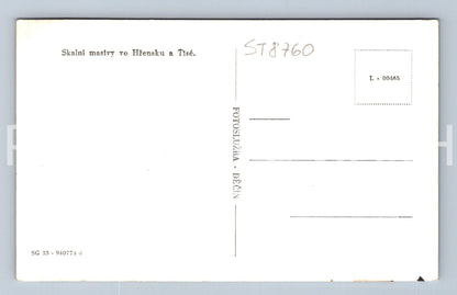 Pohlednice TISÁ - SNĚŽNÍK - KOLÁŽ (ST8760)