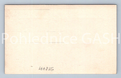 Pohlednice PŘEMYSL - POMNÍK (ST8771)