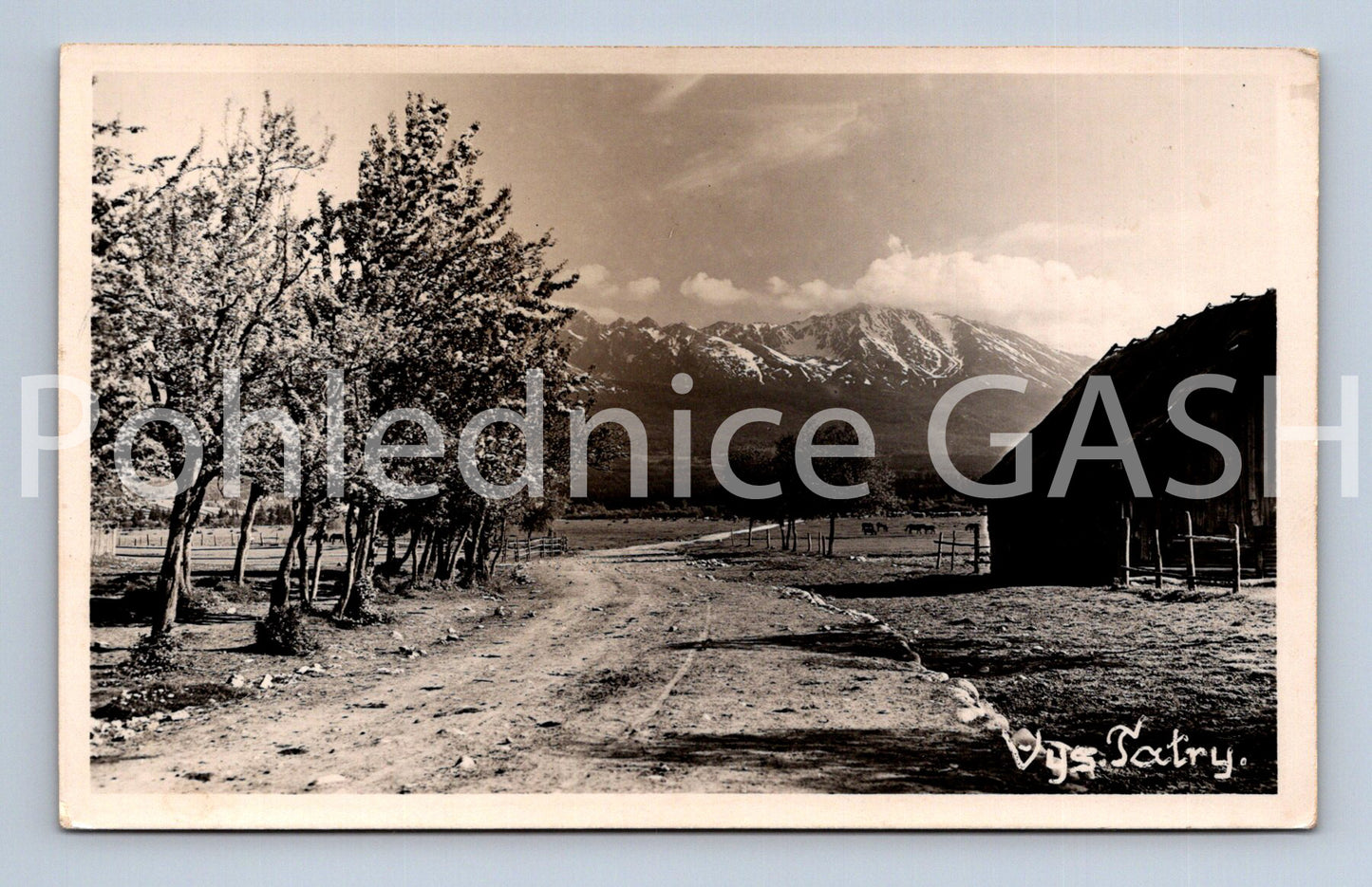 Pohlednice VYSOKÉ TATRY (ST8776)