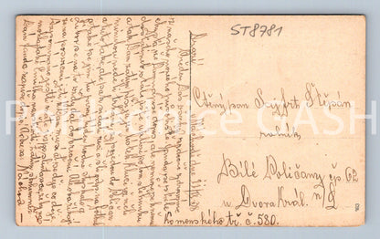 Pohlednice NÁCHOD (ST8781)