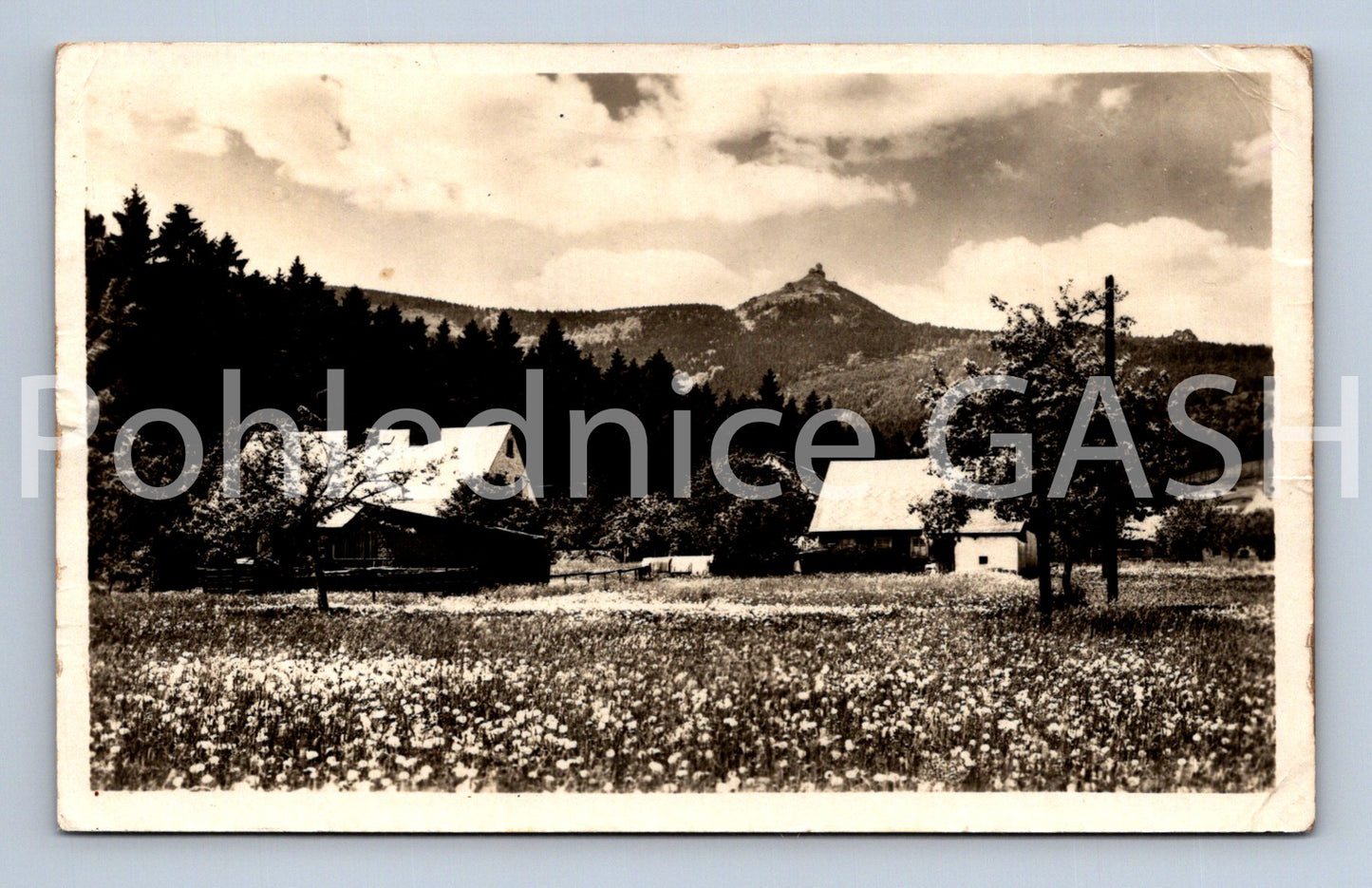 Pohlednice JEŠTĚD (ST8786)