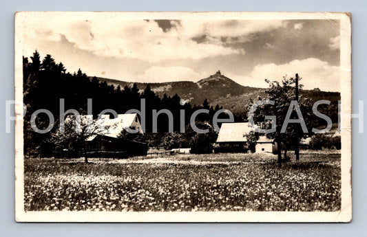 Pohlednice JEŠTĚD (ST8786)