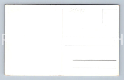 Pohlednice BRNO - POHLED S HOTELU AVION NA ŠPILBERK (ST8797)