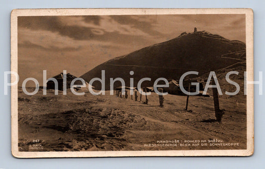Pohlednice KRKONOŠE POHLED NA SNĚŽKU (ST8800)