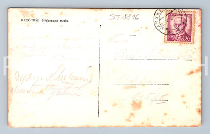 Pohlednice KRKONOŠE - HŘEBENOVÁ STEZKA (ST8816)