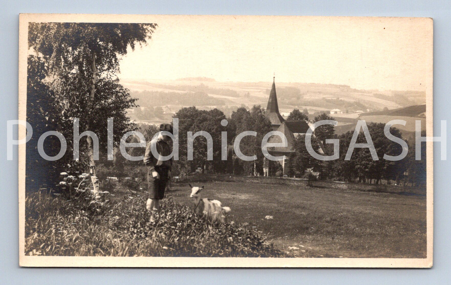 Postcard HRONOV (ST8829)