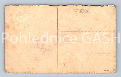 Pohlednice KARLŮV TÝN (ST8872)