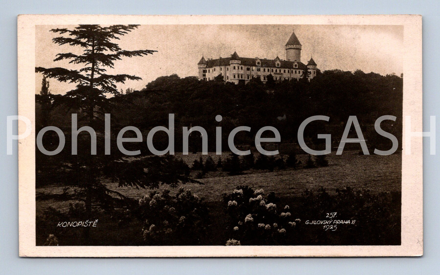 Postcard KONOPIŠTE (ST8874)