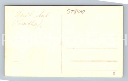 Pohlednice DEVĚT SKAL - SVRATKA (ST8910)