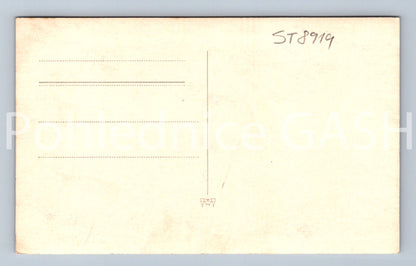 Pohlednice ČESKÝ HRAD (ST8919)