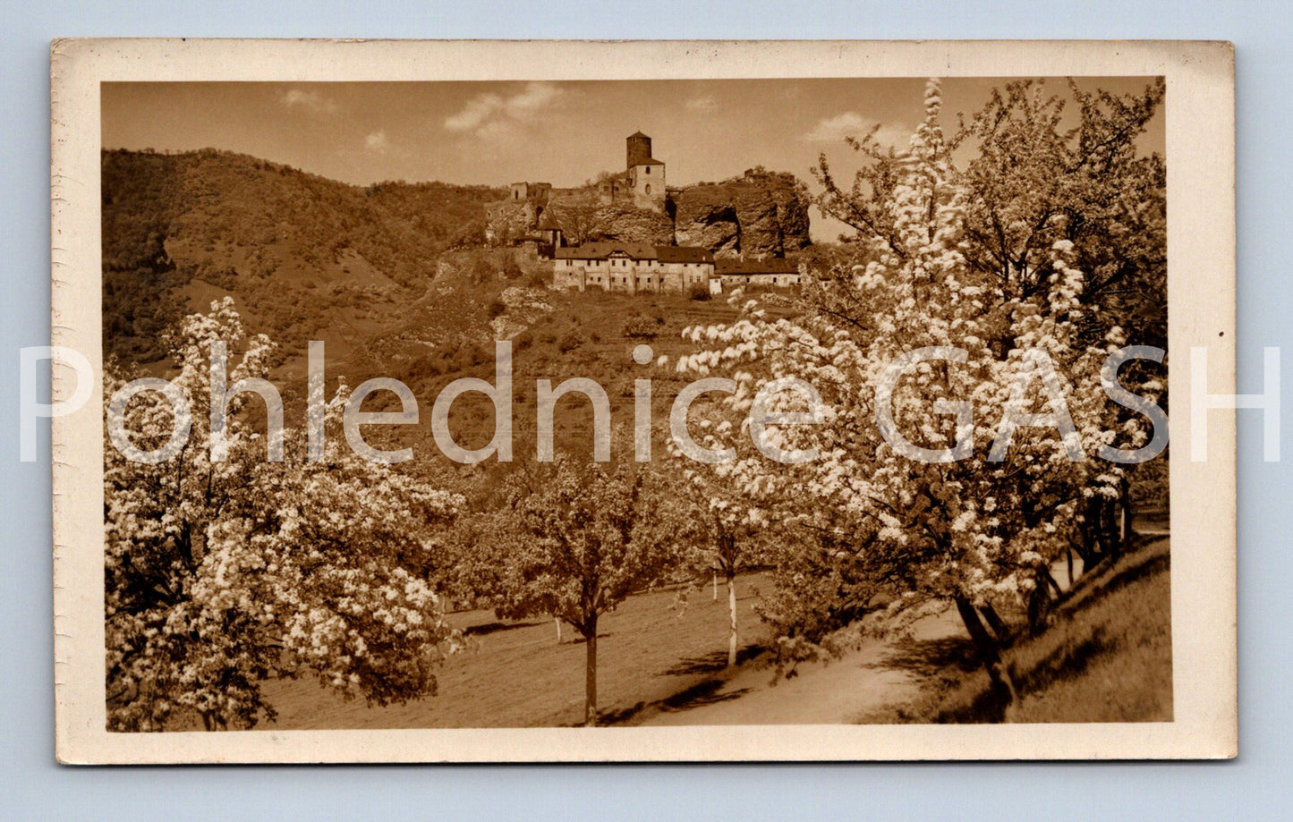 Pohlednice SCHRECKENSTEIN (ST8921)