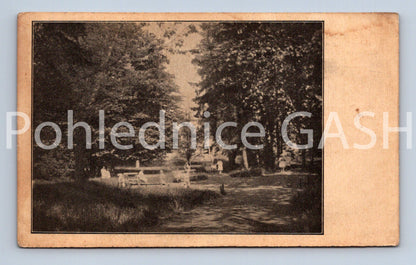 Pohlednice ÚSTAV MRZÁČKŮ V KRÁLOVĚ POLI (ST8924)