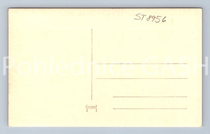 Pohlednice ČESKÁ VESNICE (ST8956)