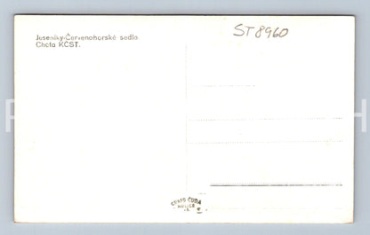 Pohlednice JESENÍKY ČERVENOKOSTELECKÉ SEDLO (ST8960)