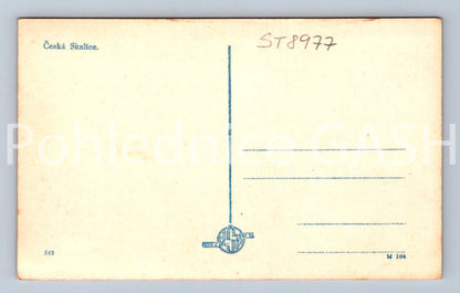 Pohlednice ČESKÁ SKALICE (ST8977)