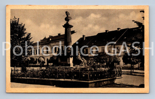 Pohlednice ČESKÁ SKALICE (ST8977)