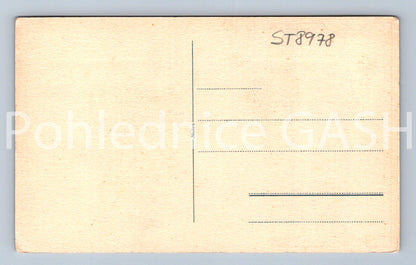 Pohlednice VŠESLOVANSKÝ SJEZD A VÝSTAVA VČELAŘSKÁ PRAHA 1927 (ST8978)