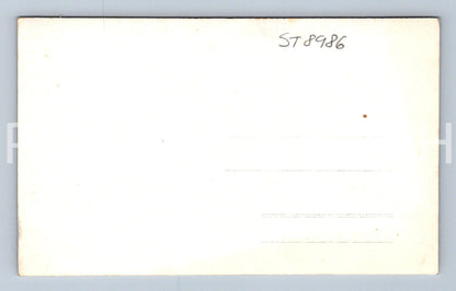 Pohlednice LÁNY (ST8986)