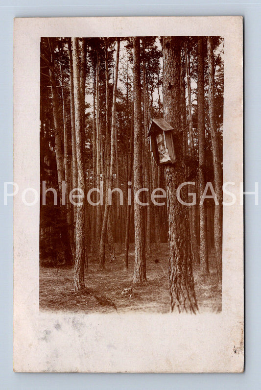 Pohlednice ČESKÝ LES (ST8987)