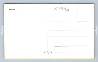 Pohlednice NÁCHOD (ST8993)