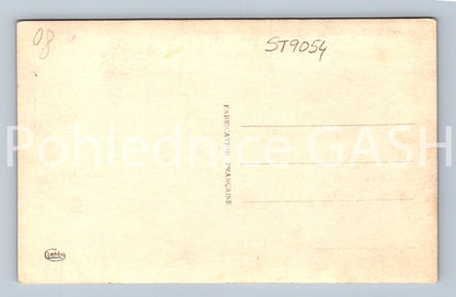 Pohlednice TRENČÍN - HOTEL TATRA (ST9054)