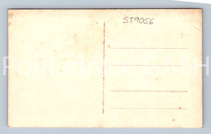 Pohlednice ČESKÁ VESNICE (ST9056)