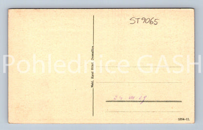 Pohlednice DOMAŽLICE (ST9065)