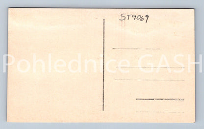 Pohlednice PLZEŇ (ST9069)