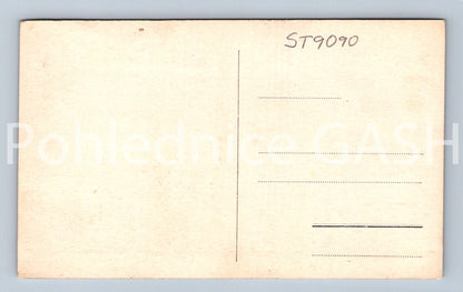 Pohlednice PLZEŇ (ST9090)