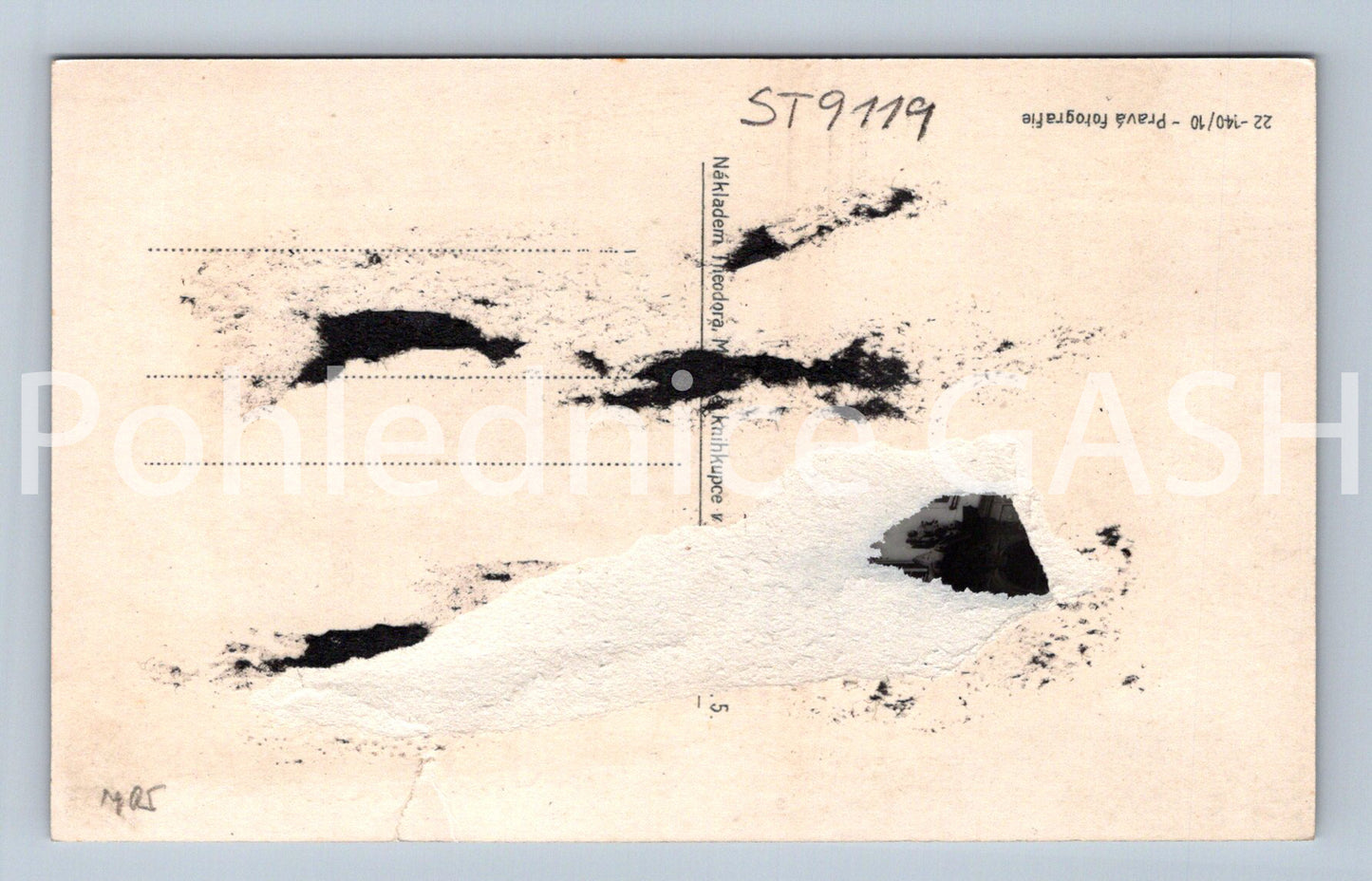 Pohlednice PLZEŇ (ST9119)