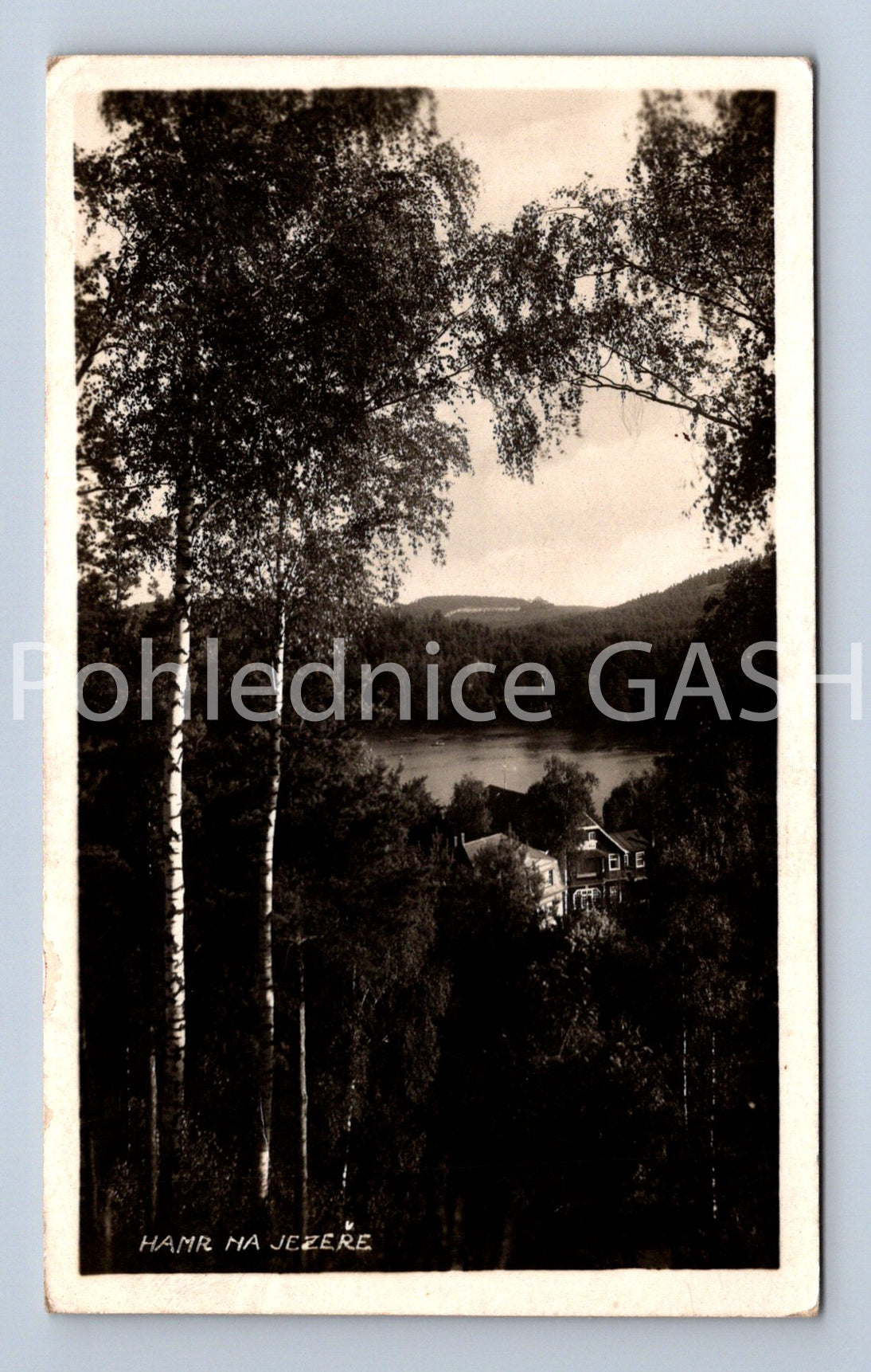 Pohlednice HAMR NA JEZEŘE (ST9131)