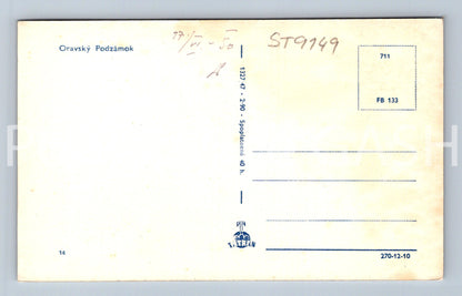 Pohlednice ORAVSKÝ PODZÁMOK (ST9149)