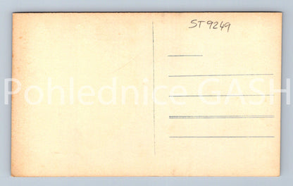 Pohlednice BÖHM SCHWEIZ (ST9249)