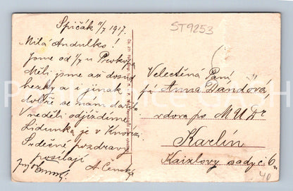 Pohlednice PROKOPŮV HOTEL NA ŠPIČÁKU (ST9253)