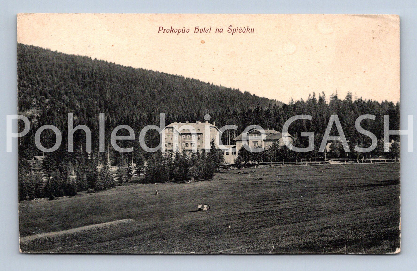 Pohlednice PROKOPŮV HOTEL NA ŠPIČÁKU (ST9253)