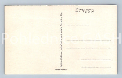 Pohlednice PARTIE ZE SÁZAVY (ST9257)