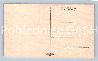 Pohlednice KUTNÁ HORA (ST9261)