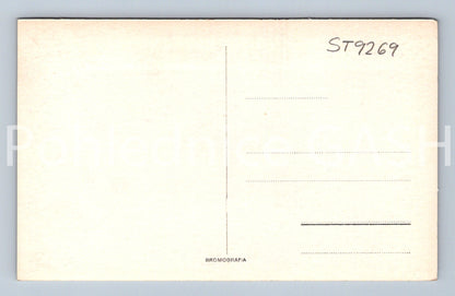 Pohlednice ČESKÁ SKALICE (ST9269)