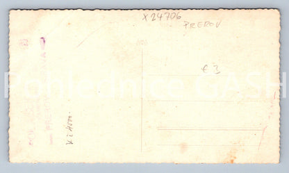 Pohlednice SV. JENE KŘTITELI, ORODUJ ZA NÁS (X24706)