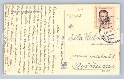 Pohlednice DUBÍ V KRUŠNÝCH HORÁCH (X24708)